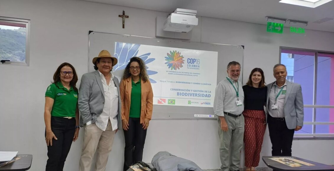 COP 16: Fundação Amazônia Sustentável apresenta a importância da criação do Parque Estadual Ambiental das Árvores Gigantes na Amazônia - FAS