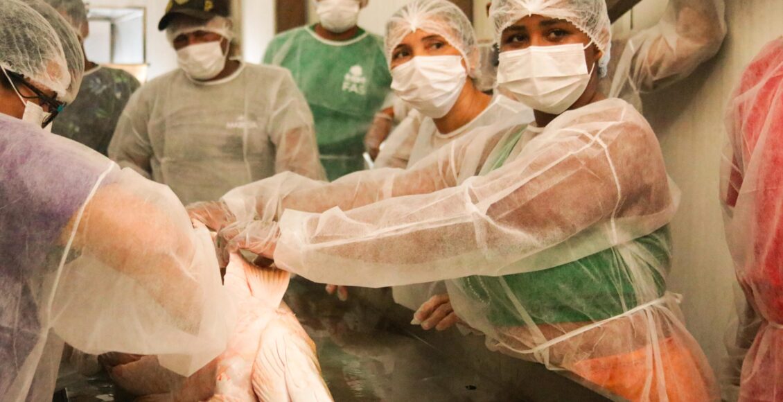 Capacitação em boas práticas para manejo do pirarucu beneficia mais de 80 pescadores na RDS Mamirauá - FAS