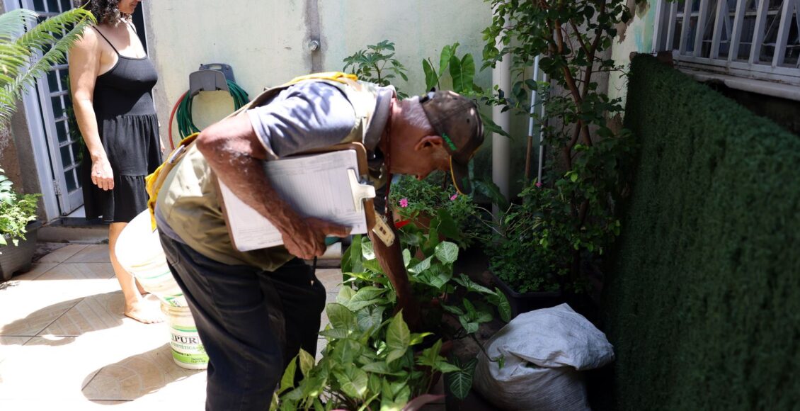 Dia D combate focos de mosquito da dengue em todo o país
