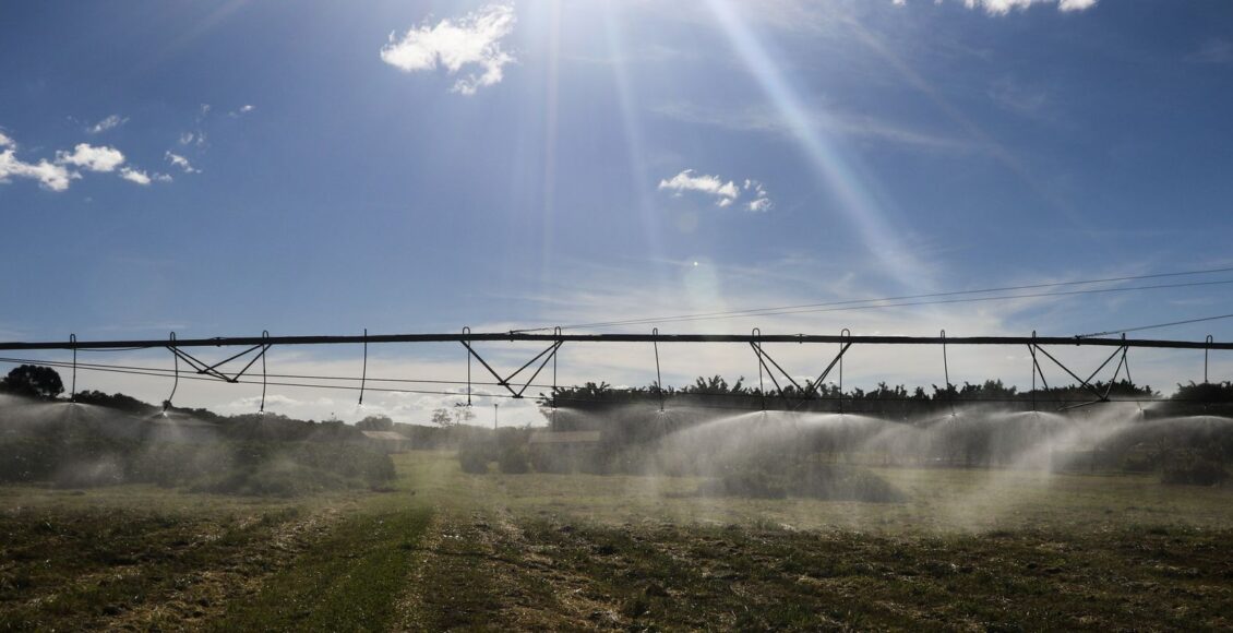 Entenda como ficam exportações agrícolas após acordo Mercosul-UE
