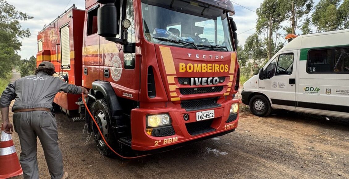 Barreiras sanitárias contra a gripe aviária são reduzidas no RS
