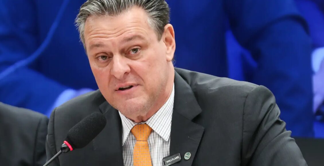 Gripe aviária não deve impactar preço da carne de frango, diz ministro
