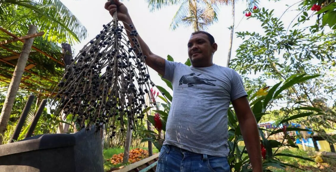 Inova Sociobio destinará até R$ 2,4 milhões para fortalecer sociobiodiversidade no Pará - FAS