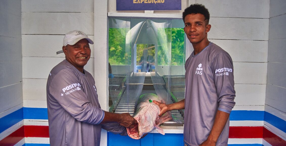 Projeto fortalece cadeia do pirarucu e amplia alternativas de renda na Amazônia - FAS