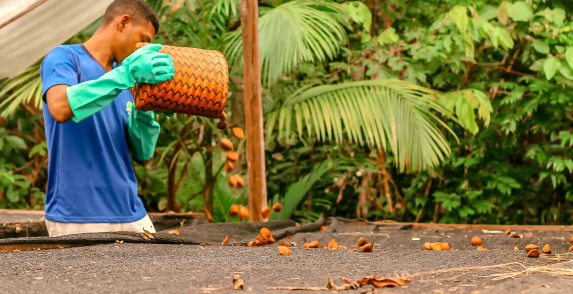Edital de Apoio a Coletivos da Sociobioeconomia divulga resultado final com cinco iniciativas selecionadas na Amazônia Legal - FAS