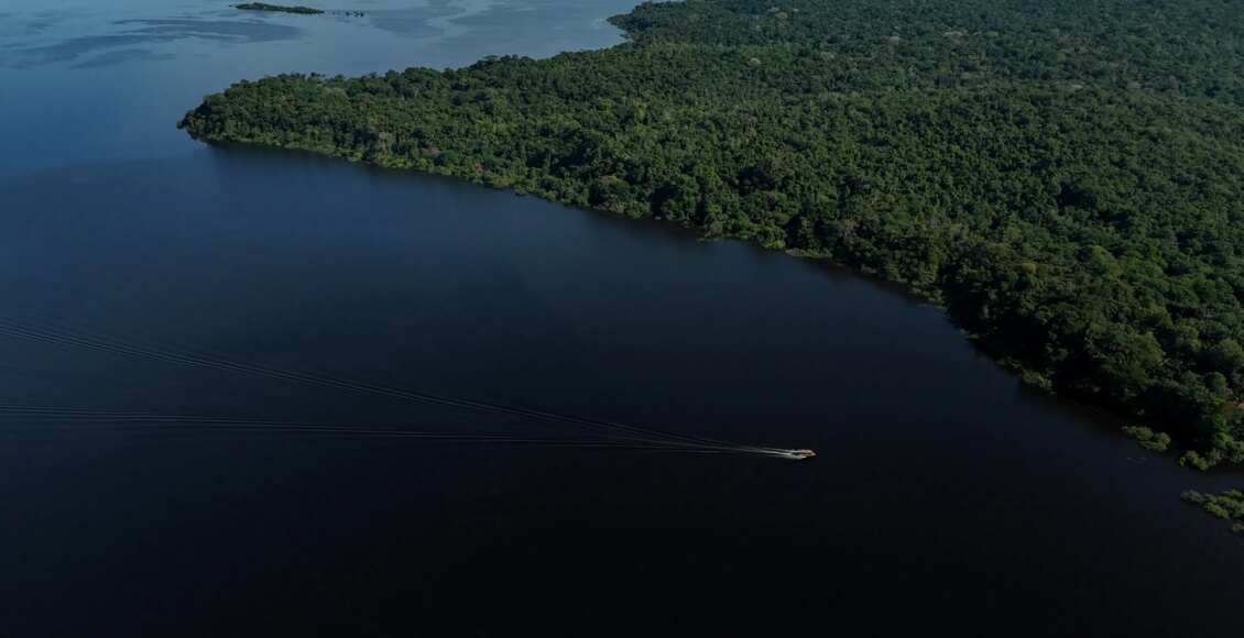 Amazonas terá reforço de 153 brigadistas para prevenção e combate a incêndios florestais - FAS
