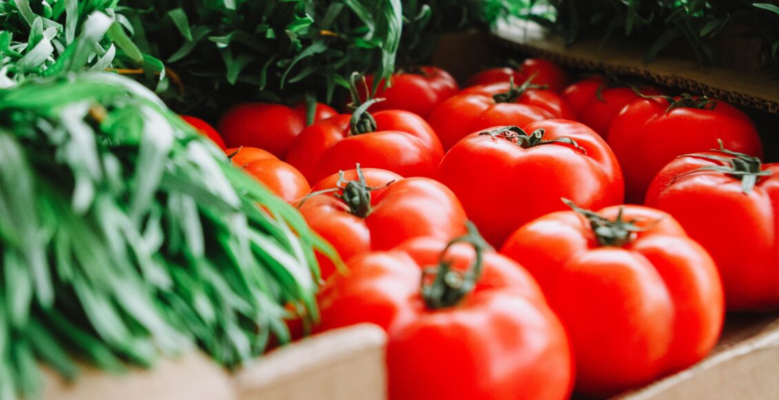 Tomates vermelhos frescos